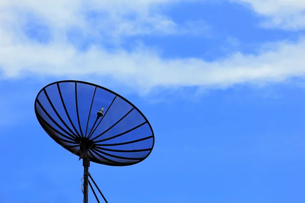Спутниковая тарелка под голубым небом — стоковое фото