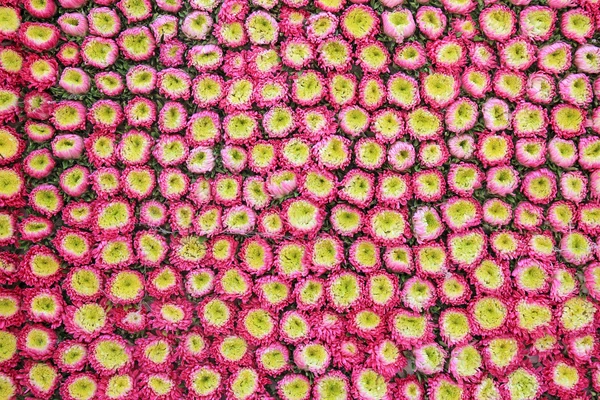 Thai floral pattern — Stock Photo, Image