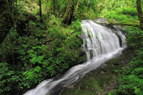 Cascata in montagna Inthanon, Chiang mai Thailandia — Foto Stock