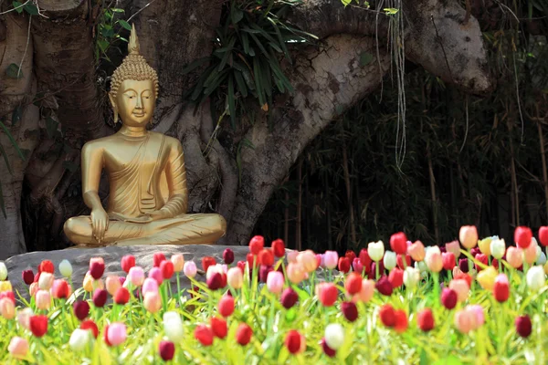 Buddha statue with tulip foreground — Stock Photo, Image