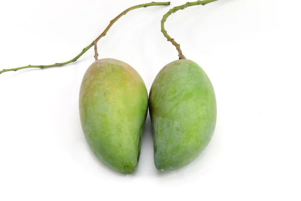 Зеленый манго — стоковое фото
