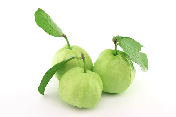 Guavas con licencia — Foto de Stock