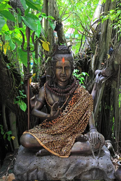 Hindu God Vishnu under the tree — Stock Photo, Image