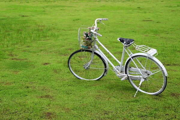 Oude fiets — Stockfoto