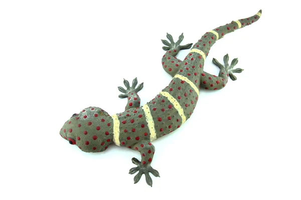 Gecko Royalty Free Stock Images