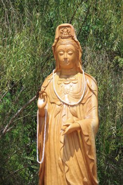 Kuan yin bambu arka plan