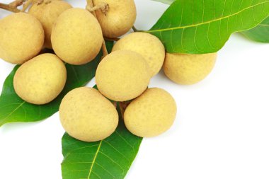 Beyaz arkaplanda yalıtılmış longan meyvesi