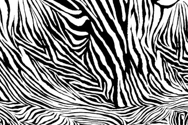 Zebra doku kumaş tarzı.