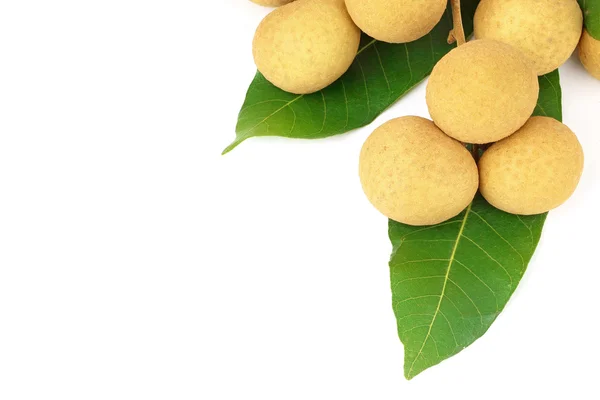 Fruto longan aislado sobre fondo blanco — Foto de Stock