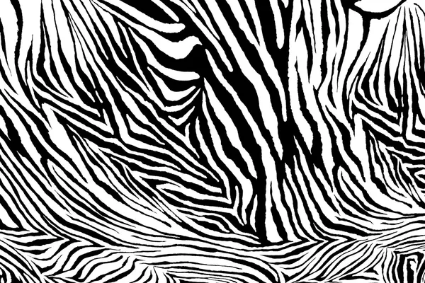 Zebra doku kumaş tarzı.