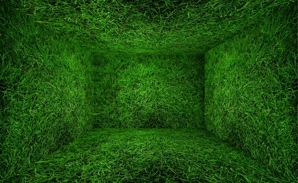 Sala de hierba — Foto de Stock