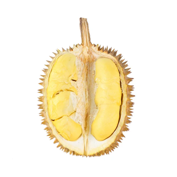 Durian isolato su sfondo bianco — Foto Stock