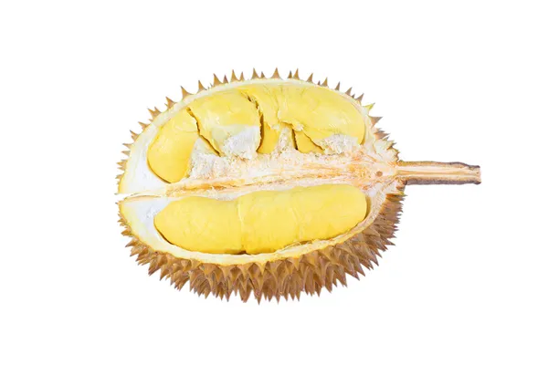 Durian isolato su sfondo bianco — Foto Stock