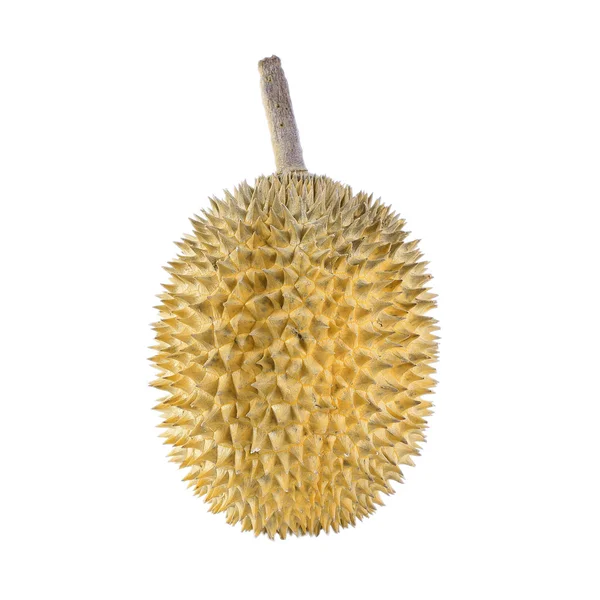 Durian isolato su sfondo bianco — Foto Stock