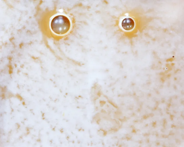 Close up of coffee bubble — Stock Photo, Image