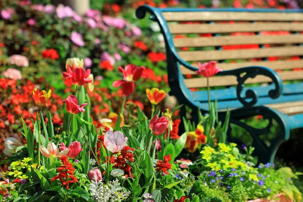 Ročník lavička v zahradě tulipány — Stock fotografie