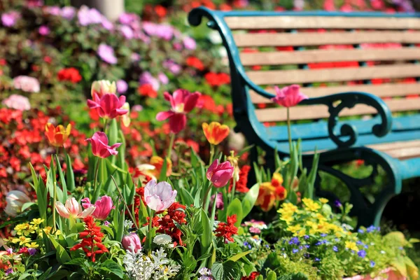 Sztuka ławki w ogrodzie tulipany — Zdjęcie stockowe