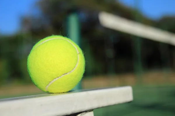 Pelota de tenis con fondo neto —  Fotos de Stock