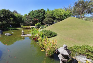 Japonca Garden pond balık