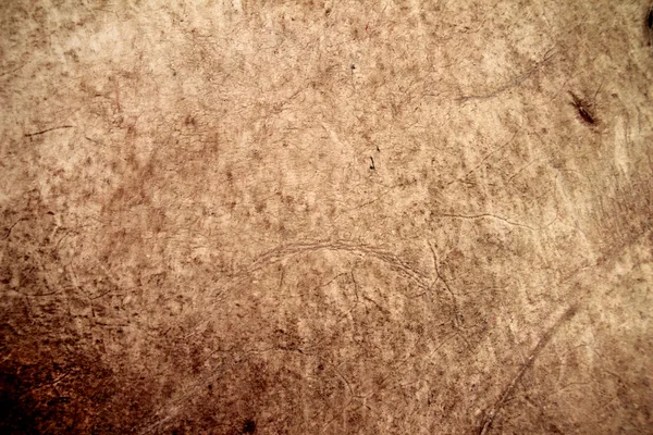 Çok eski deri — Stok fotoğraf