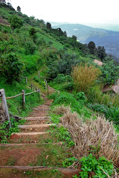 Paseo por la montaña — Foto de Stock