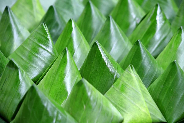 Dessert Banana leaf wrap — Stock Photo, Image