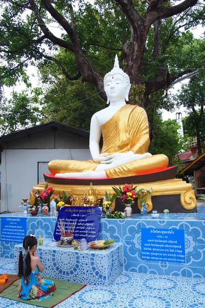 Азиатская девушка, молящаяся Будда под деревом — стоковое фото