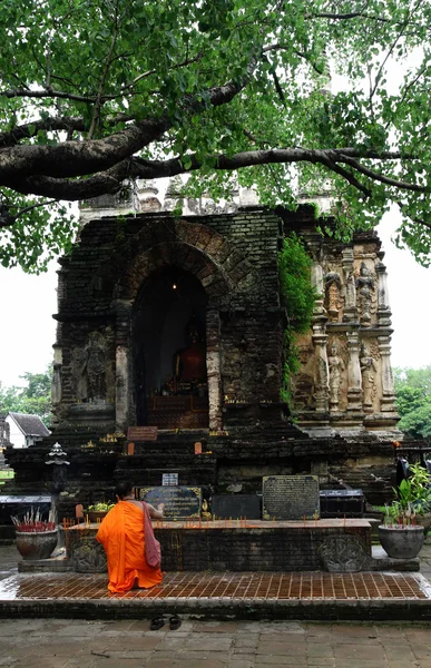 Buddistisk munk be pagoda under bodhi trädet — Stockfoto