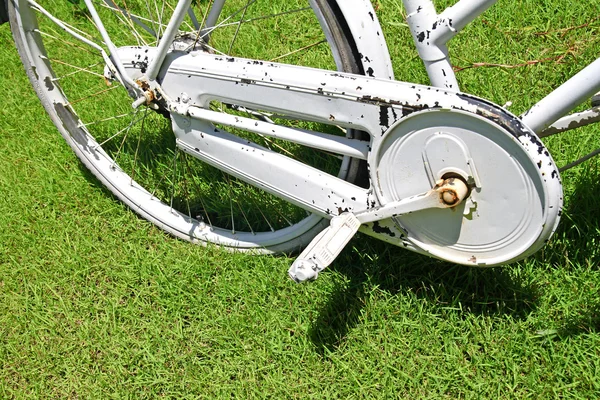 Oude fietswiel op groen gras — Stockfoto