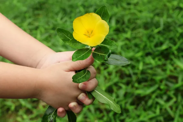 Kind hand geven een bloem — Stockfoto