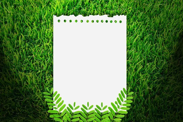 Бумага на фоне травы — стоковое фото