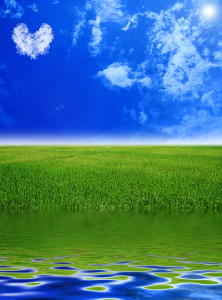 Nuvens coração no céu com campo verde e céu azul e lago — Fotografia de Stock