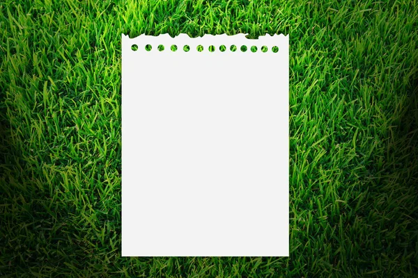 Paper on grass background — Stock Photo, Image