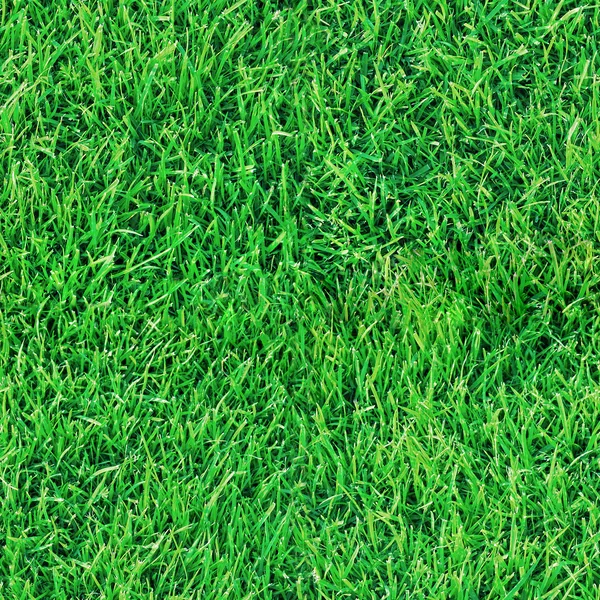 Grünes Gras nahtlose Textur — Stockfoto