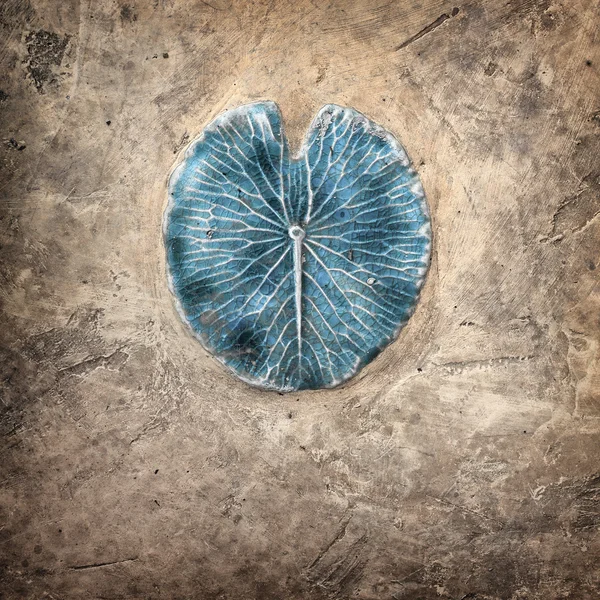 Lotus leaf stukkó grunge falon — Stock Fotó