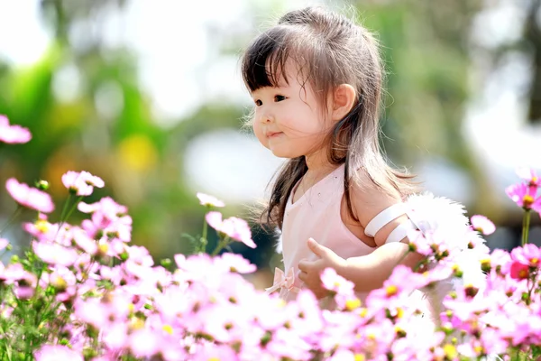 Pequena fada no campo de flores — Fotografia de Stock