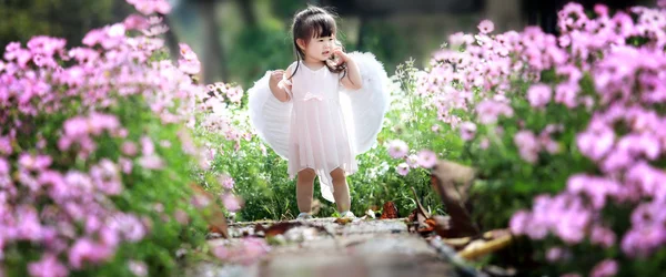 Little fairy in flower field — Stock Photo, Image