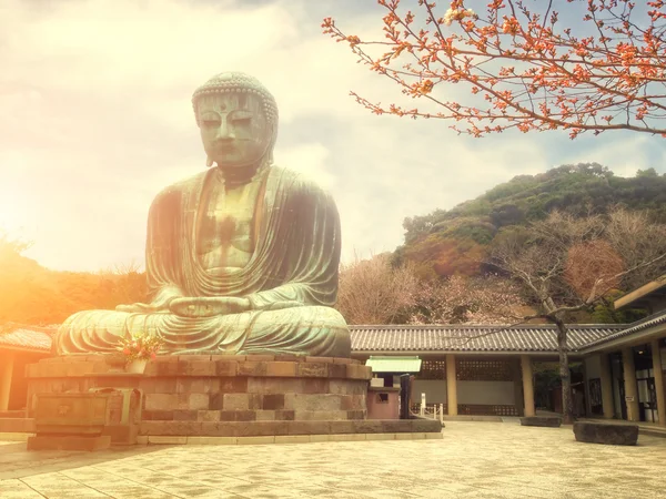 유명한 큰 청동 불상 가마쿠라, kotokuin 사원에서. — 스톡 사진