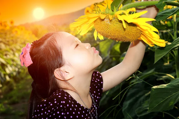 Słodkie dziecko azjatyckie ze słonecznikiem — Zdjęcie stockowe