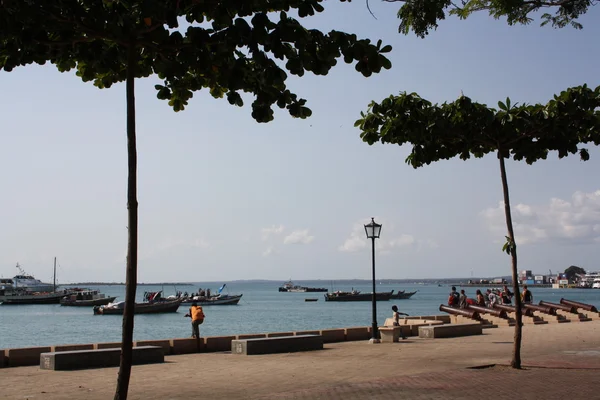 Zanzibar Waterfront — Stock Photo, Image