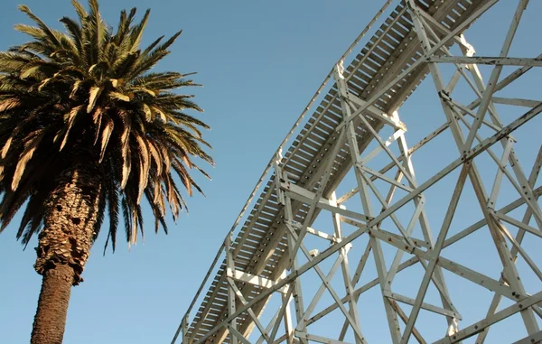 Roller Coaster Palm Tree 2 — Stock Photo, Image