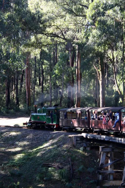 Puffing billy 2 — Foto Stock
