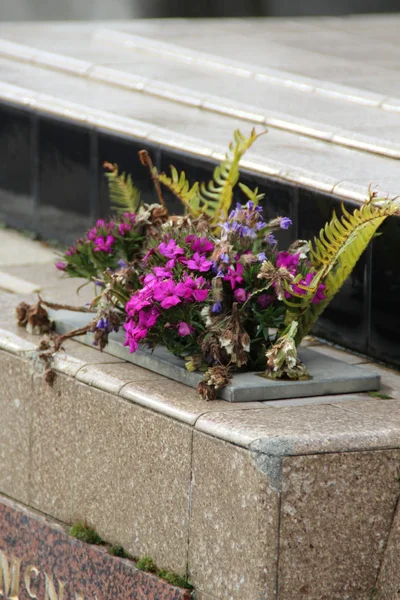 Grabsteine auf dem Friedhof — Stockfoto