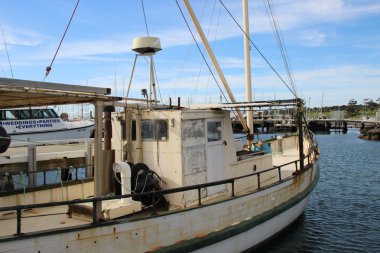 Geelong harbour side sayısı esplenade ve çevresinde