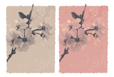 Erik çiçeği ile antika arka plan