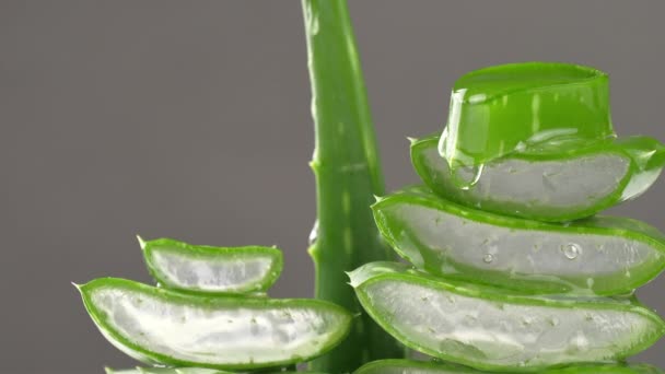 Fresh Aloe vera leaves , Medicine Treat the skin moisturize healthcare, Skin care after sunburn , video footage.