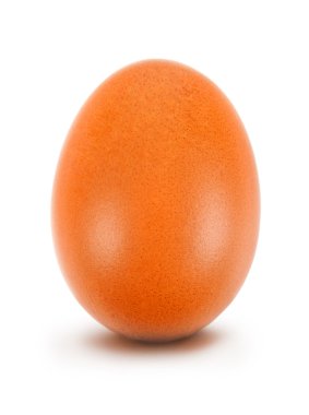 kırpma yolu beyaz zemin üzerine yumurta yakın çekim