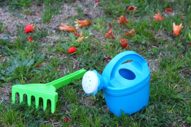 plastik komisyon ve sulama olabilir