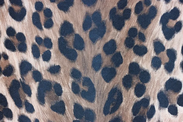 Fondo de pantalla patrón de leopardo —  Fotos de Stock