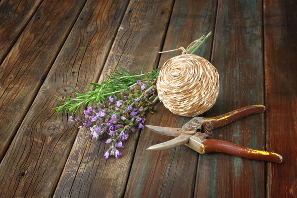 新鲜的迷迭香、 鼠尾草从花园里摘的 — 图库照片
